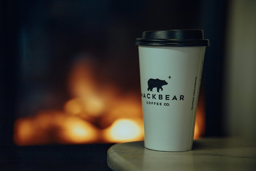 top fireplace brand rankings 2026